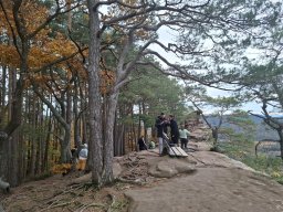 Wanderung Lindelbrunn Nov 2025